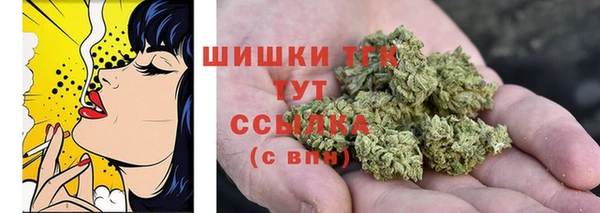 прущий лед Богородск