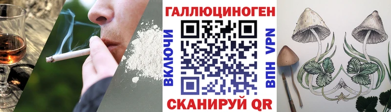 Галлюциногенные грибы MAGIC MUSHROOMS  кракен маркетплейс  Верхотурье 